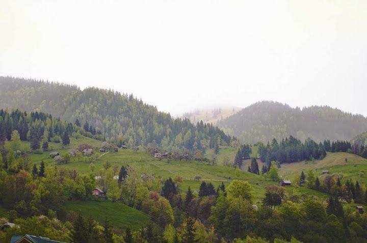 Будинок В Пейзажній Місцевості Krivorovnya Exterior foto